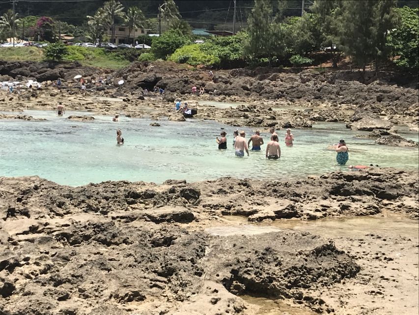 Oahu: Manoa Falls Hike and East Side Beach Day - Common questions