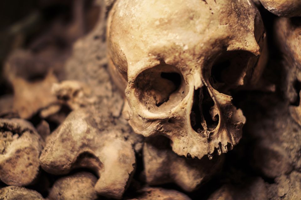 Paris Catacombs: Skip-the-Line Special Access Tour - Common questions
