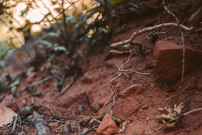 Pikes Peak COG Railway & Garden of Gods Tour - Final Words