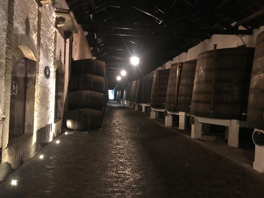 Porto + Port Cellar Visit and Tasting + Sardine Factory Tour - Activity Description