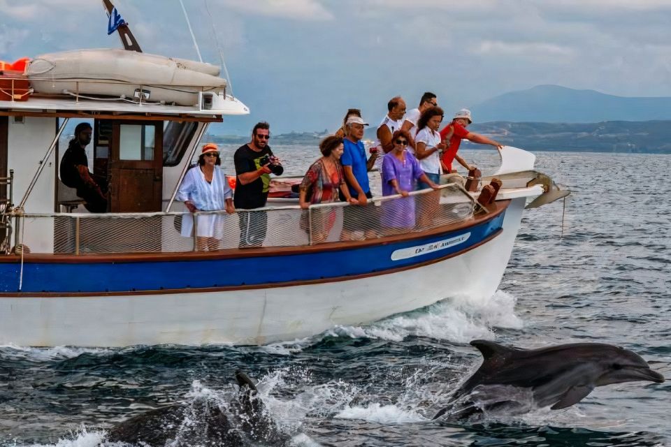 Preveza: Dolphin Watching Cruise With Lunch and Drinks - Detailed Itinerary