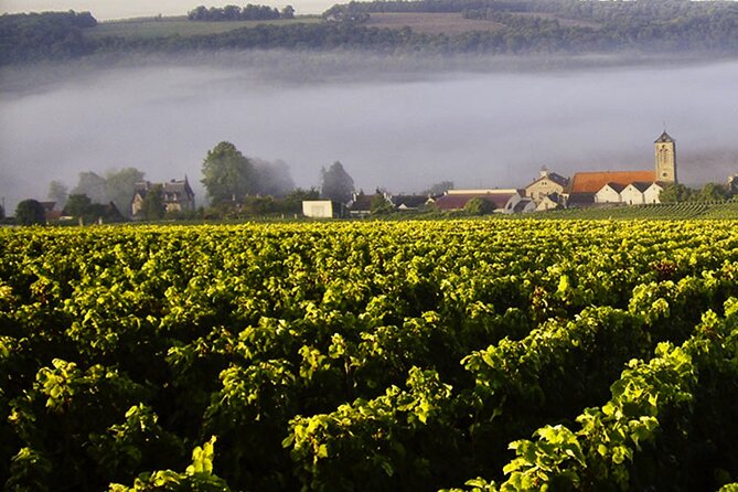 Private Champagne Moët & Chandon, Pressoria Day Trip From Paris - Cancellation Policy Overview