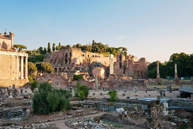 Private Tour: Colosseum & Imperial Rome Art History Walking Tour - 3207A - Assistance and Support