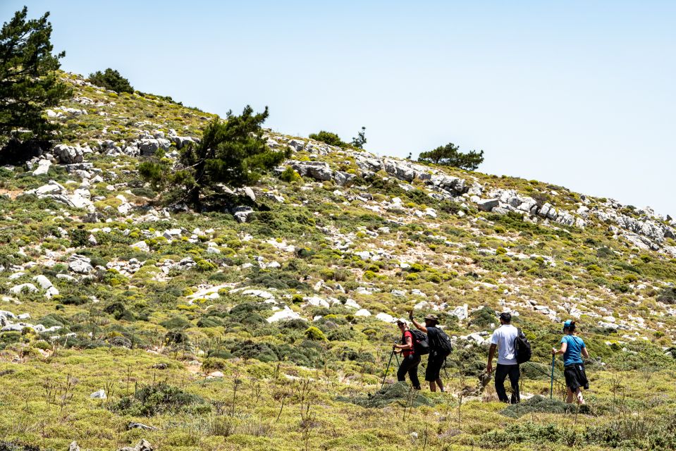 Rhodes: Hiking Tour to the Summit of Akramitis With Photos - Final Words