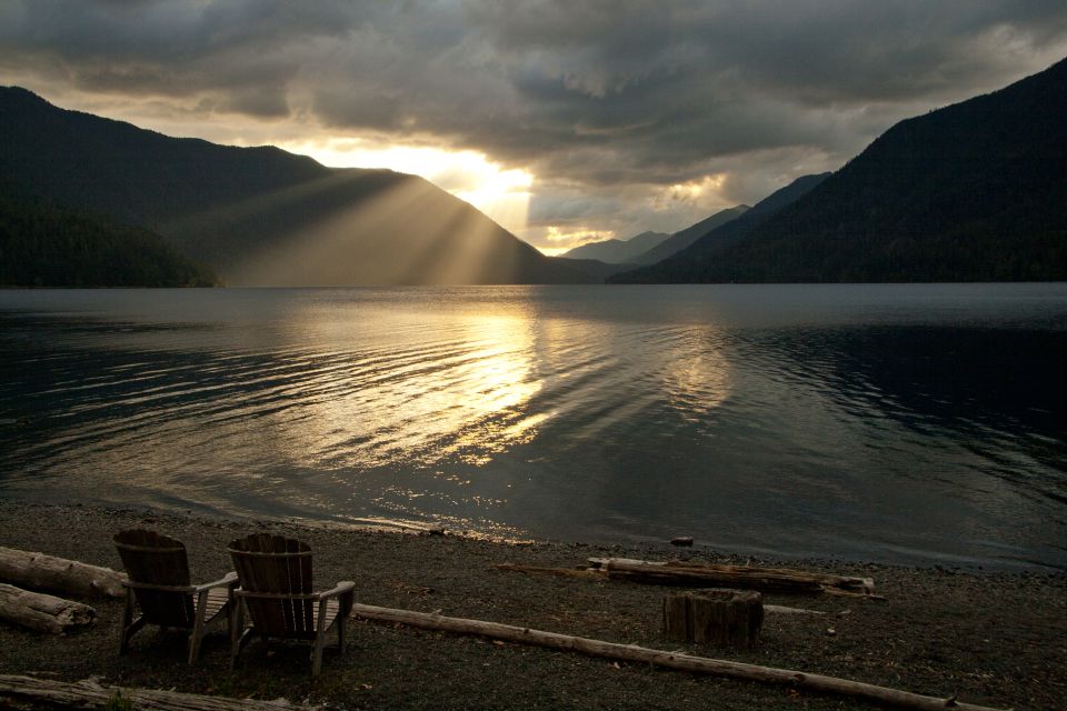 Seattle: Olympic National Park Small-Group Tour - Tour Company Details