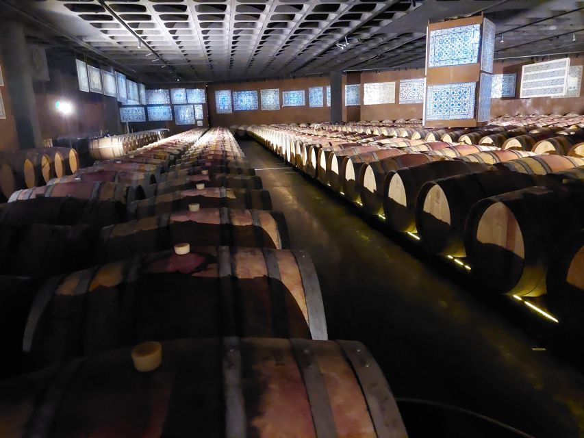 Serra Da Arrábida: Private Tour With Wine Tasting in a Tesla - Testimonials