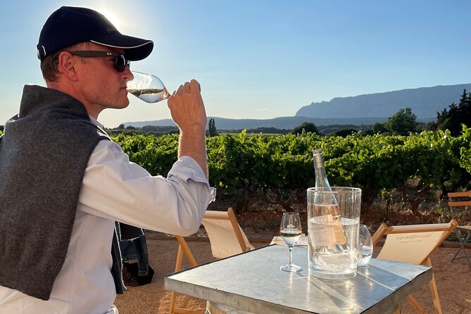 Shore Excursion Private Full Day Wine Tour in Provence From Toulon - Review Insights