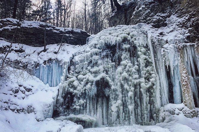 Small-Group Waterfalls Tour From Toronto, Niagara Escarpment - Common questions