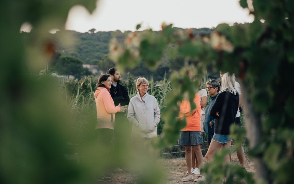 Small Group Wine Tour From Saint-Tropez - Cancellation Policy