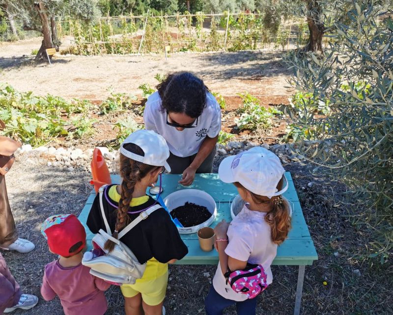 The Olive Oil Experience @ Lefkada Micro Farm - Final Words