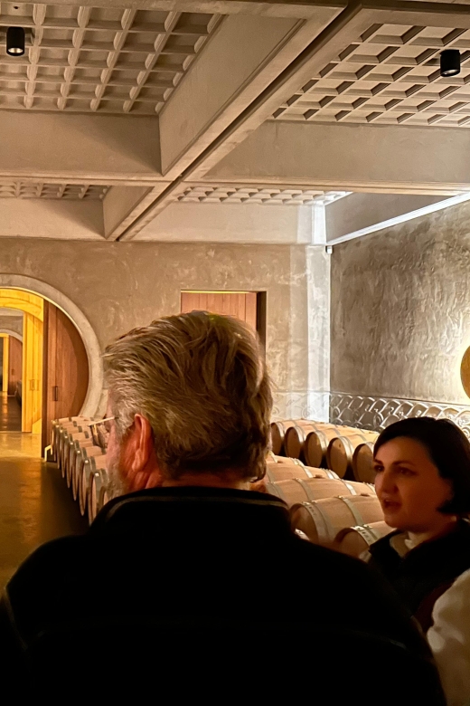 The Ultimate Wine Tour for 1855 Classified Chateaux - Highlights