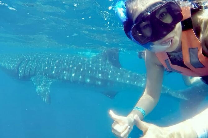 Whale Shark Adventure in Isla Mujeres and Cancun - Tips for a Memorable Experience