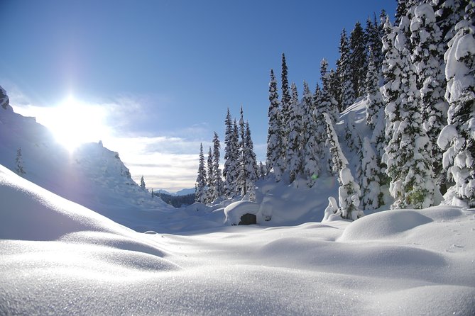 Whistler Small-Group Full-Day Snowshoe Tour - Final Words