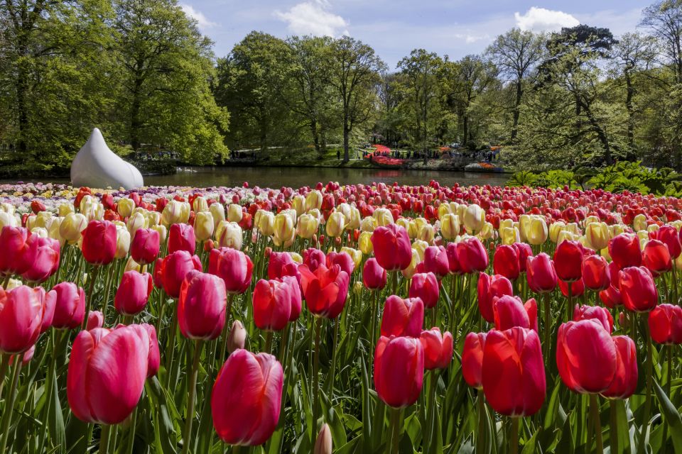 Amsterdam: Canal Cruise & Keukenhof Ticket With Shuttle Bus - Final Words