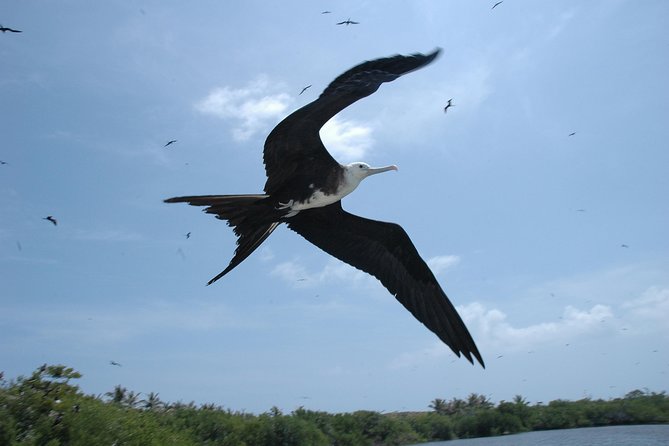 Cancun Full-Day Contoy Island Tour With Lunch - Common questions