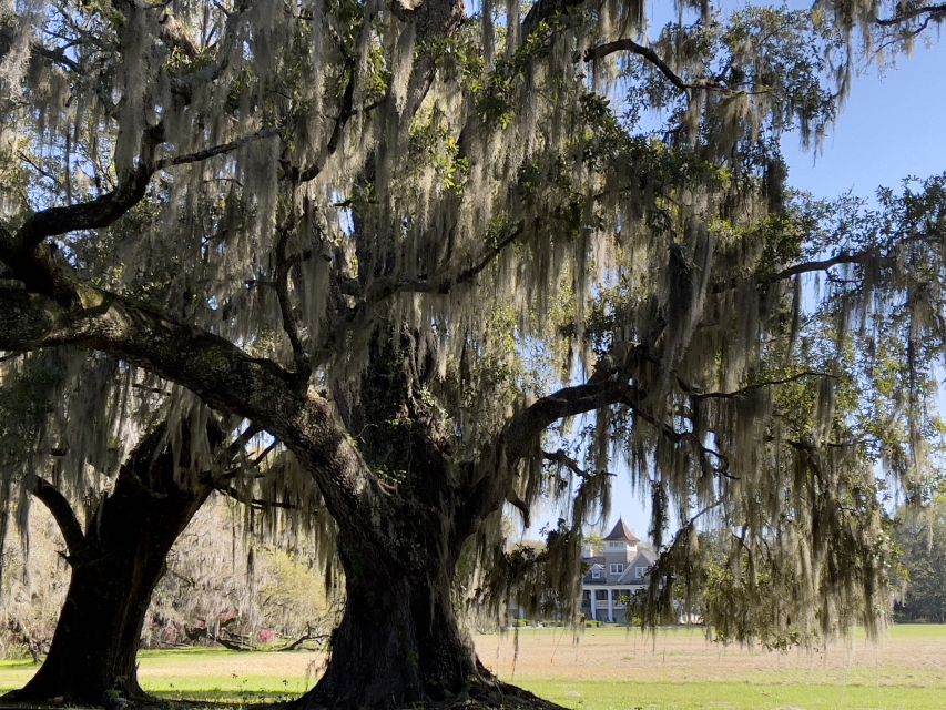 Charleston: The Complete Lowcountry Tour. Get Out of Town! - Final Words