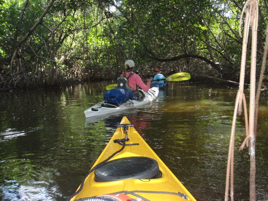 Florida Keys: Key West Kayak Eco Tour With Nature Guide - Common questions