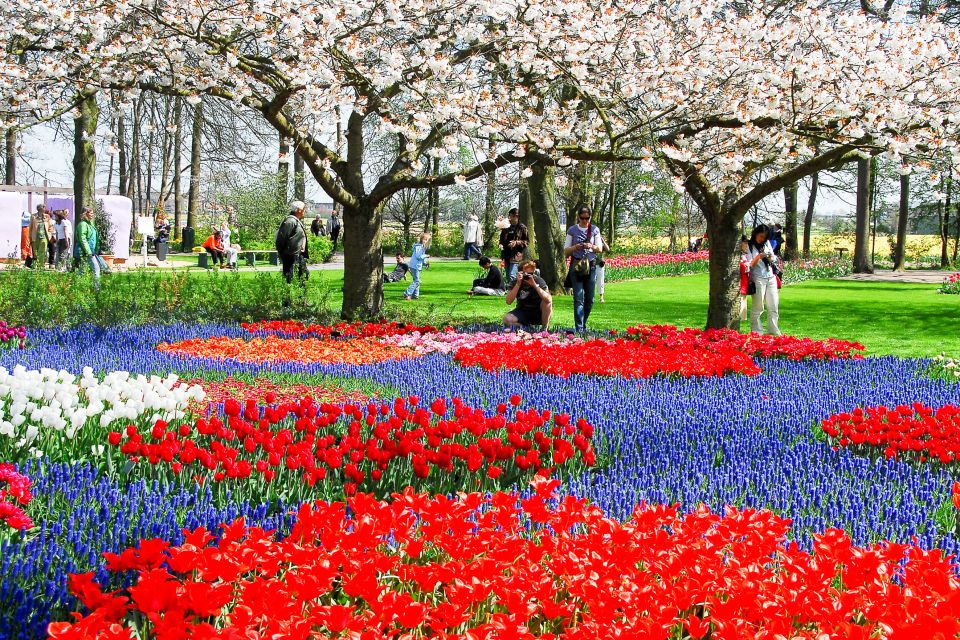 From Amsterdam: Keukenhof Flower Park Transfer With Ticket - Directions