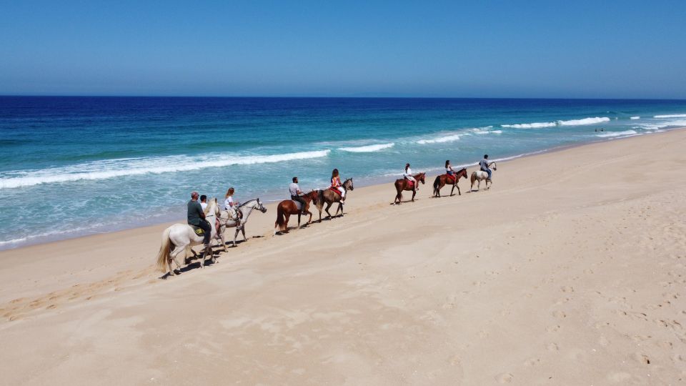 From Lisbon: Horseback Riding on Comporta Beach - Directions