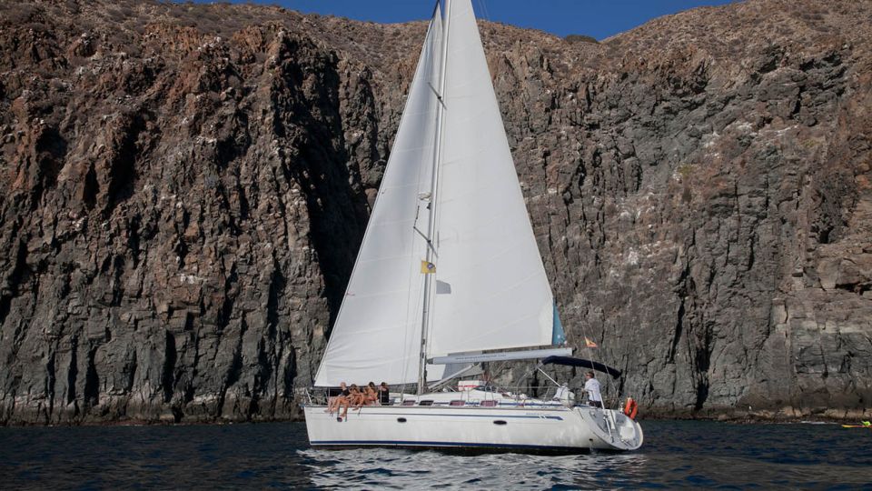 From Los Gigantes: Whale Watching Sailboat Cruise - Final Words