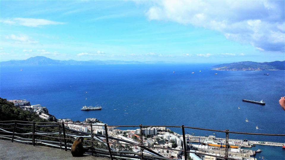 From Marbella: Guided Private Trip to Gibraltar and Estepona - Common questions