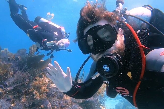 Half-Day Small-Group 2-Tank Scuba Dive in Key Largo (CERTIFIED DIVERS ONLY) - Common questions