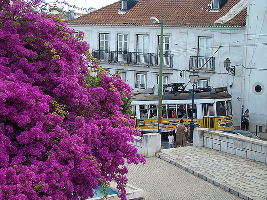 Lisbon: Private Tour to Lisbon and Pastéis De Belém Tasting - Common questions