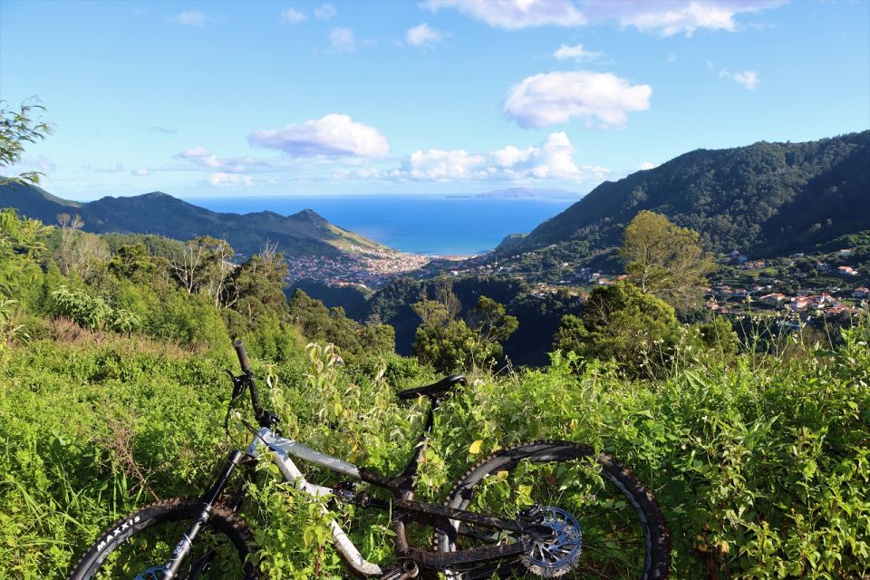 Madeira Cross Country Tour Mountain Bike Experience - Final Words