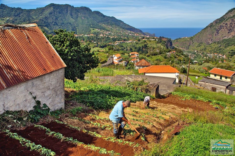 Madeira: Santana Jeep Safari and Levada Tour - Customer Experiences