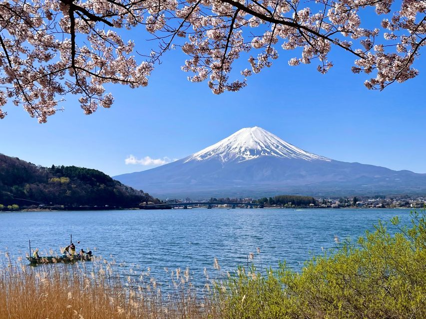 Mt.Fuji Area, 1 Day Private Car Trip(English Guide Tour) - Additional Trip Details