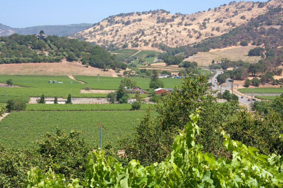 Napa Valley: Driver Service in North California Wine-Country - Common questions