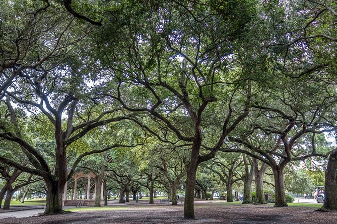 Private Historic Horse & Carriage Tour of Charleston - Common questions