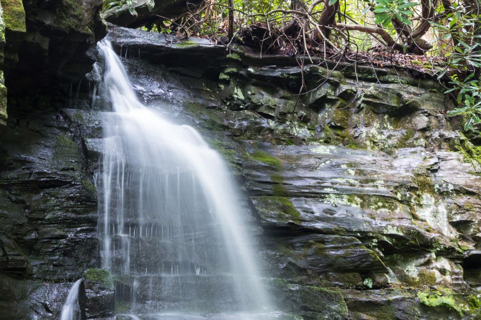 Roaring Fork Trail Self-Guided Driving Audio Tour - Final Words