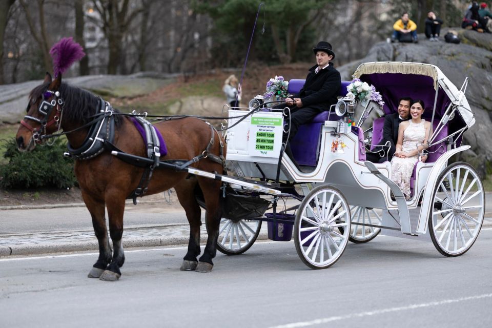 Royal Carriage Ride in Central Park NYC - Common questions