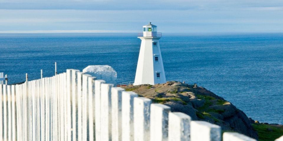 St. John'S: Small Group Tour With Iceberg Quest Boat Cruise - Important Information for Participants