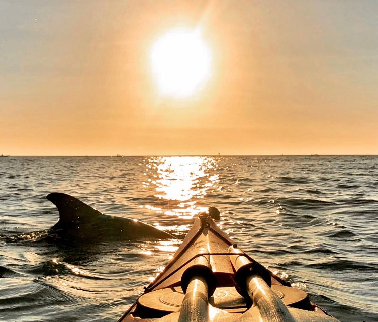 St Pete & St Pete Beach: Coastal Kayak Charters - Final Words