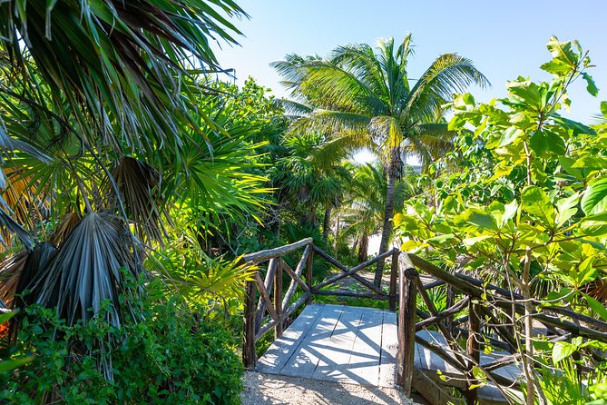 Viator Exclusive: Tulum Ruins, Reef Snorkeling, Cenote and Caves - Common questions