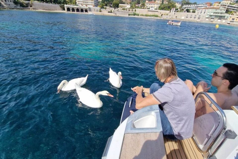 Boat Tour, Mixed/Private Group, Snorkeling Nice Villefranche - Final Words