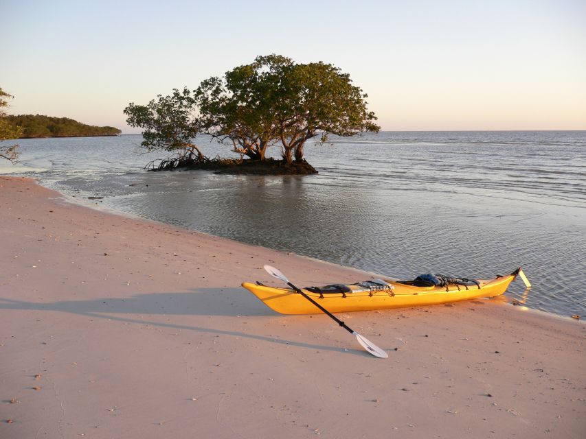 Florida Keys: Key West Kayak Eco Tour With Nature Guide - Final Words
