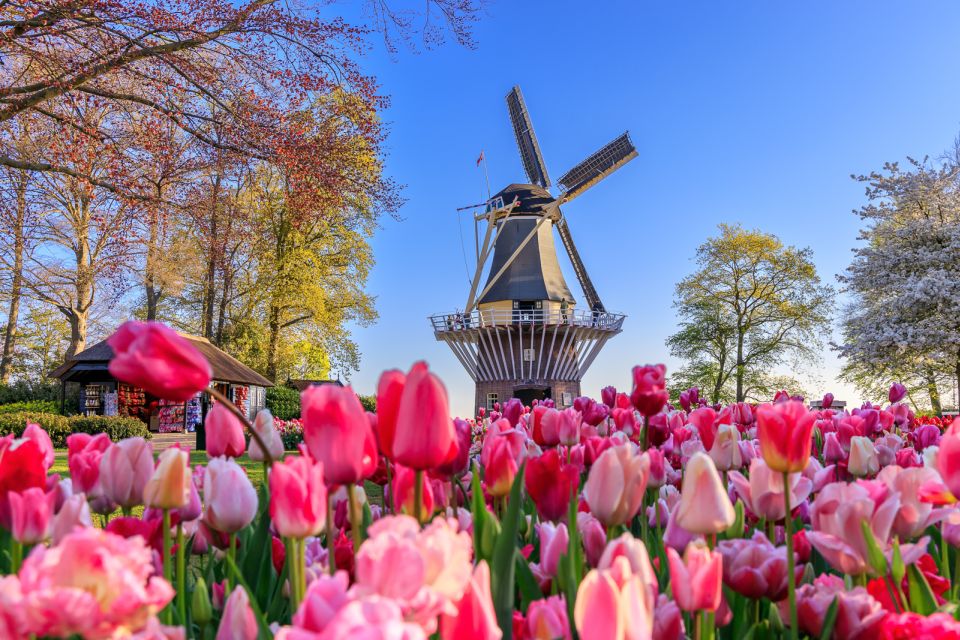 From Amsterdam: Keukenhof Flower Park Transfer With Ticket - Common questions
