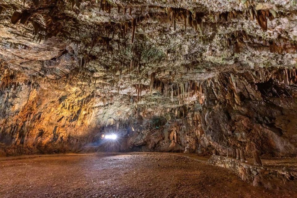 From Argostolion: Caves and Antisamos Beach Private Tour - Reservations