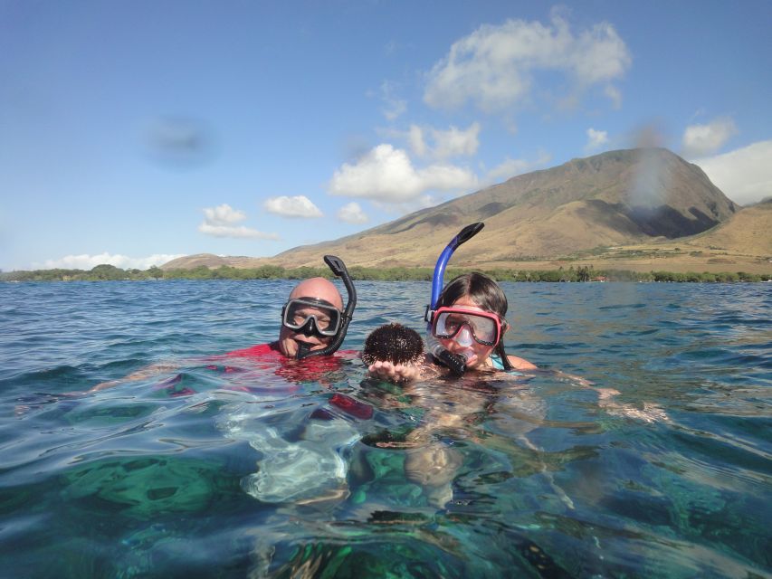 Kayaking and Snorkeling at Turtle Reef - Final Words