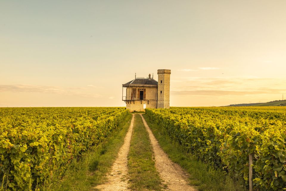 Private Wine Tour in Côte De Nuits and Côte De Beaune - Final Words