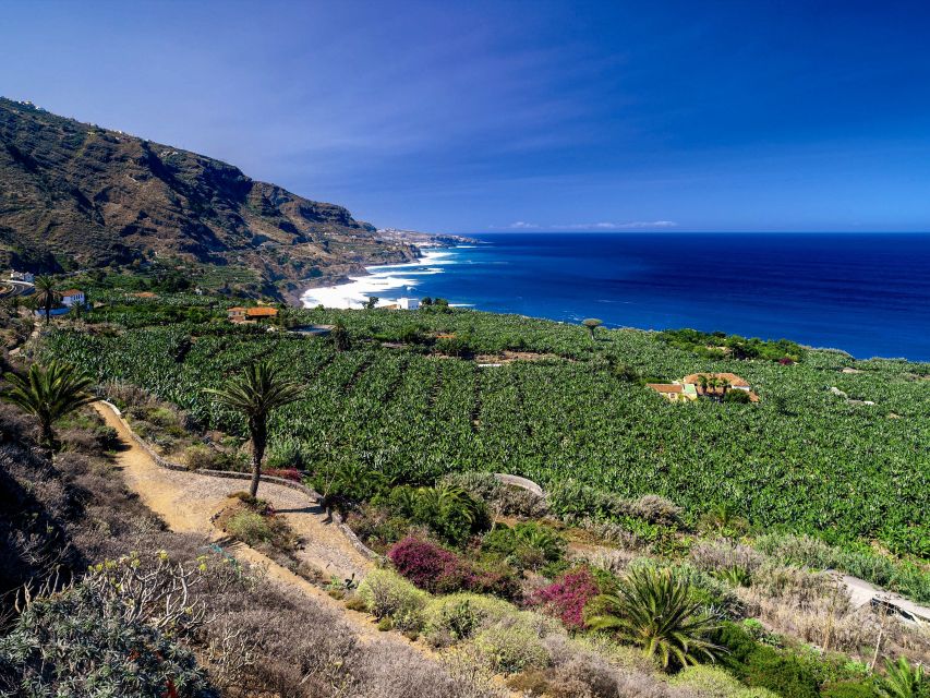 Tenerife Private Tour: Full-Day Historic North - Common questions