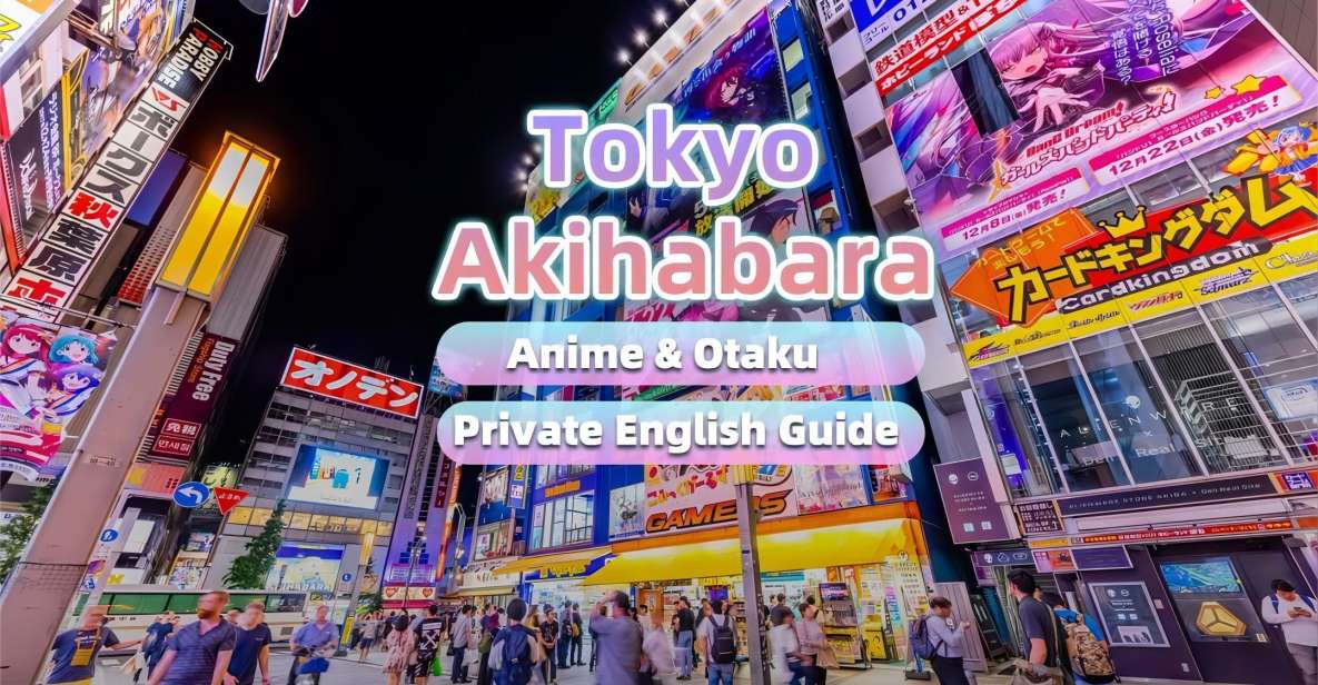 Tokyo: Anime&Otaku Private Tour With Expert English Guide - Final Words