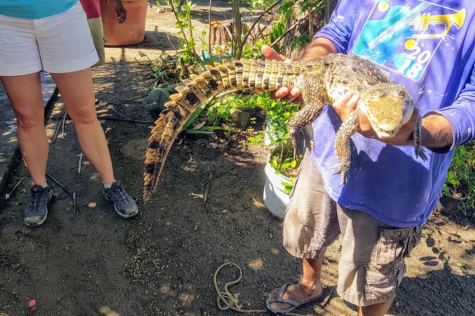 Acapulco Beach Horseback Riding Tour With Baby Turtle Release - Key Points