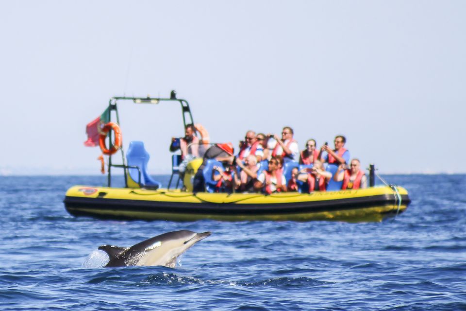 Albufeira: Benagil Caves & Dolphin Watching Speed Boat Tour - Key Points