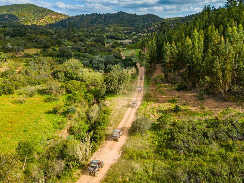 Albufeira: Off-Road Buggy Adventure - Key Points