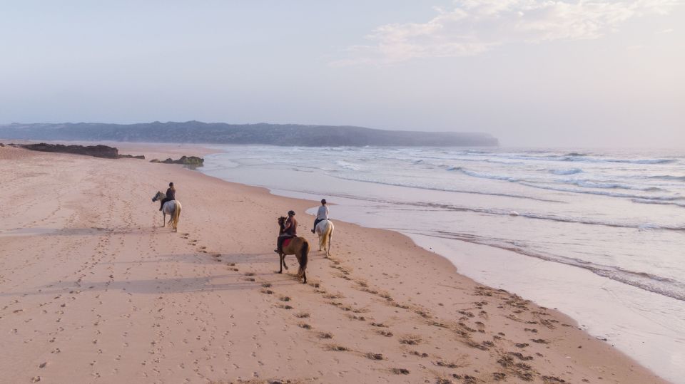 Algarve: Horse Riding Beach Tour at Sunset or Morning - Key Points