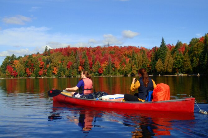 Algonquin Park 4-Day Luxury Moose/Beaver/Turtle Camping & Canoeing Adventure - Key Points